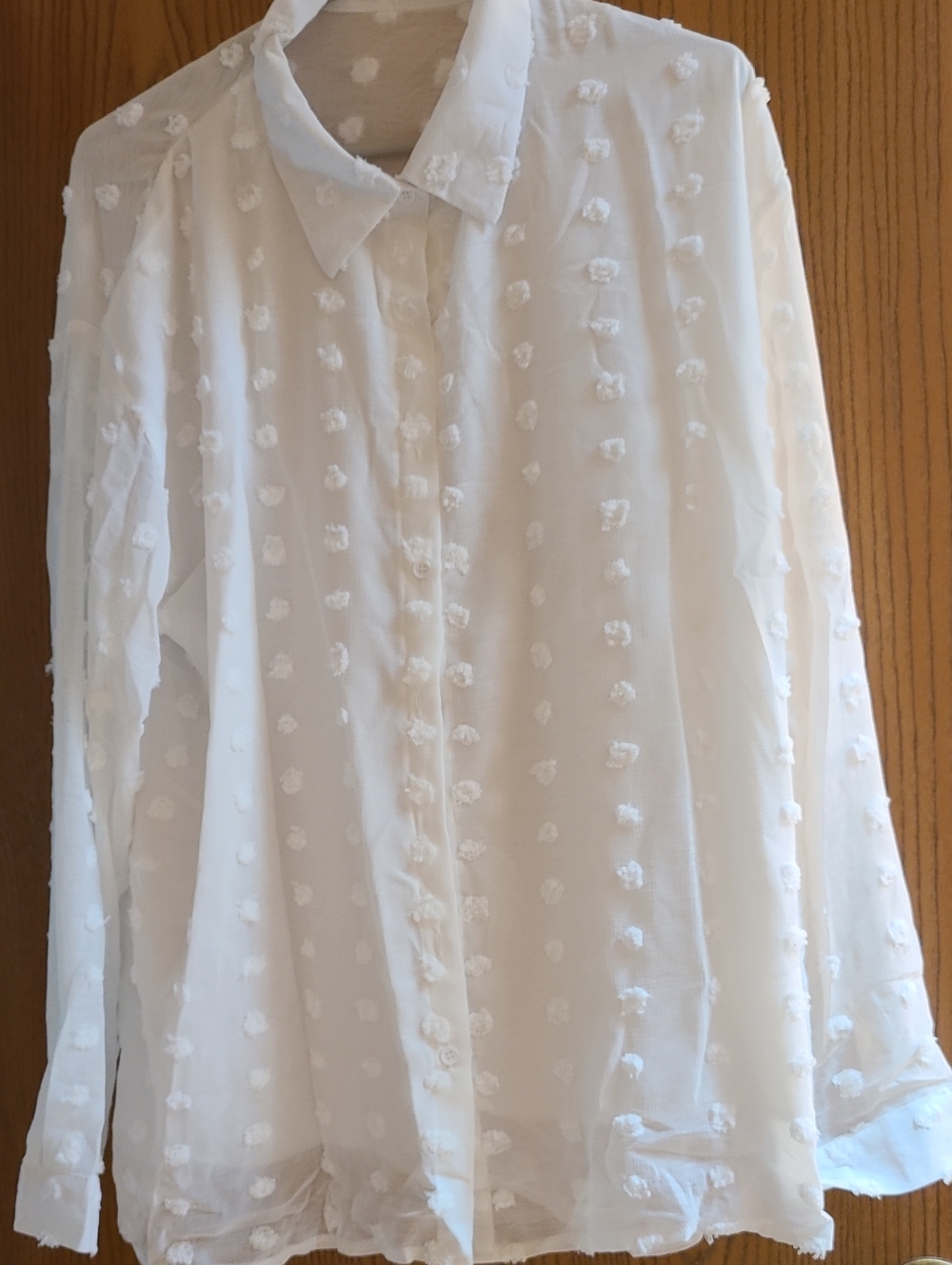 Women's White Textured Dot Button-Up Blouse